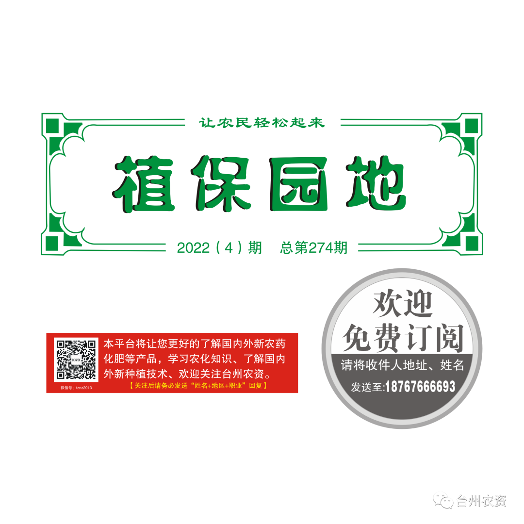 氣溫驟降，大棚西瓜做好以下幾點工作