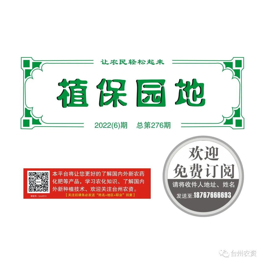 梅雨季節(jié)來臨，柑橘即將穩(wěn)果，注意管理好夏梢，合理施肥打藥